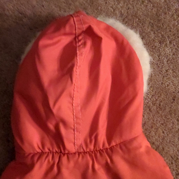 ❤️ Loveable Dog Hooded Jacket Small FANCY PUNK - Picture 3 of 9